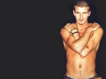 david